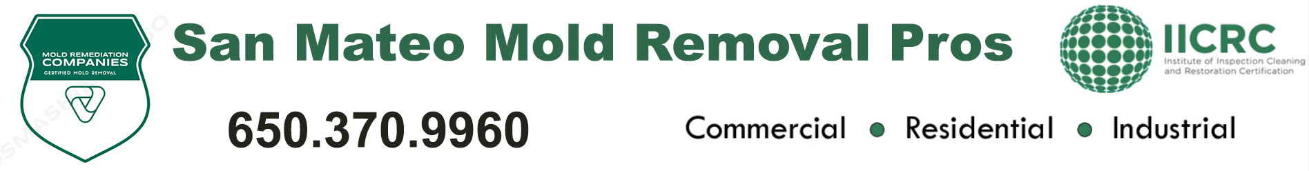 San Mateo Mold Removal Pros