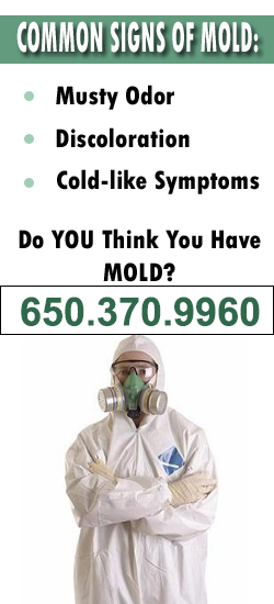 San Mateo Mold Remediation Contractor